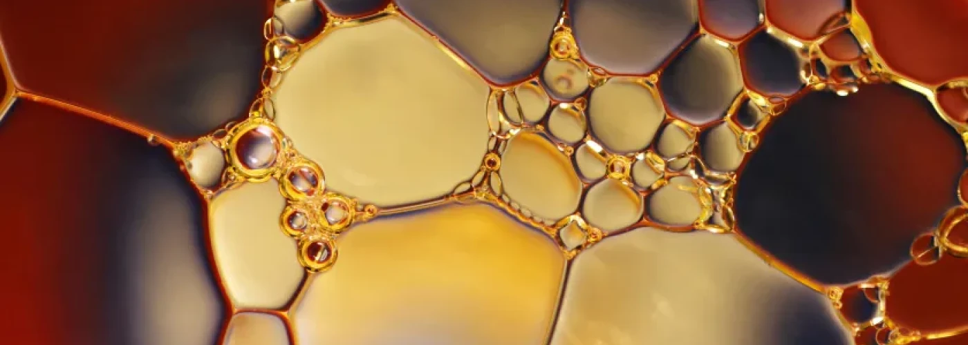 Bóg, Nauka, Cywilizacja – wykład popularyzujący wiedzę o fizyce w kontekście historii nauki i cywilizacji