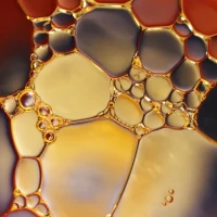 Bóg, Nauka, Cywilizacja – wykład popularyzujący wiedzę o fizyce w kontekście historii nauki i cywilizacji