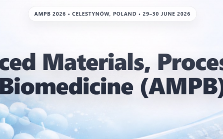 Advanced Materials, Processing & Biomedicine (AMPB) | Instytut Wysokich ...