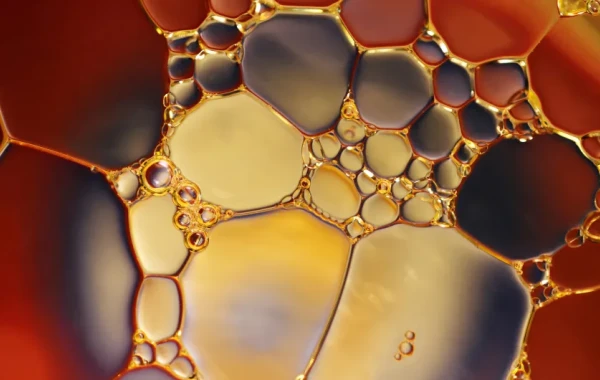 Bóg, Nauka, Cywilizacja – wykład popularyzujący wiedzę o fizyce w kontekście historii nauki i cywilizacji