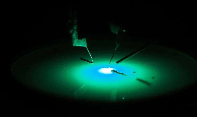 Laboratorium Azotkowych Struktur Zintegrowanych